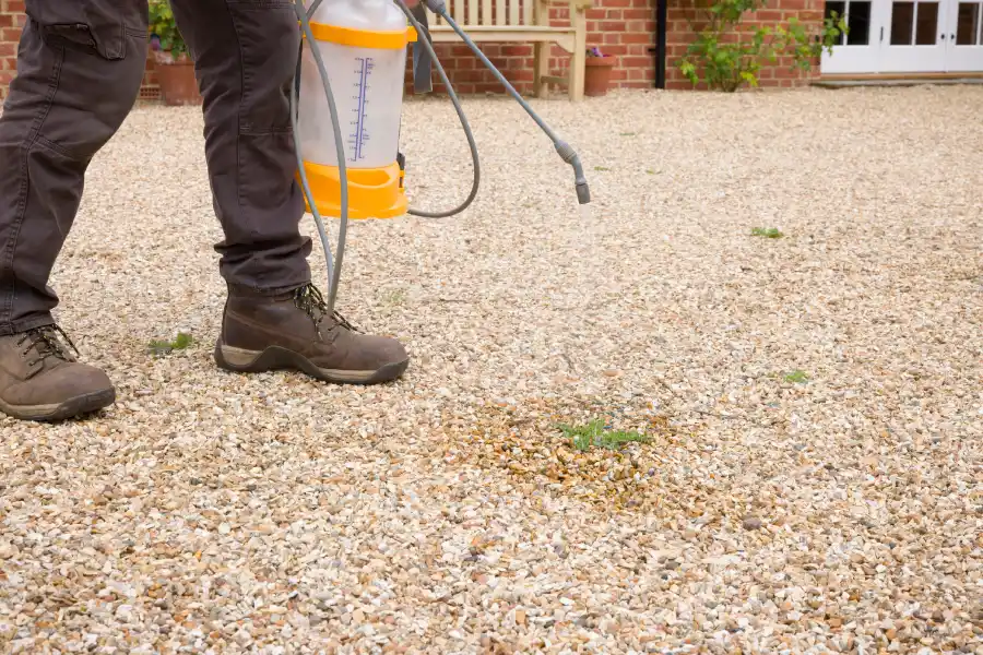 Benefits Of Routine Weed Control Treatments Buford, GA