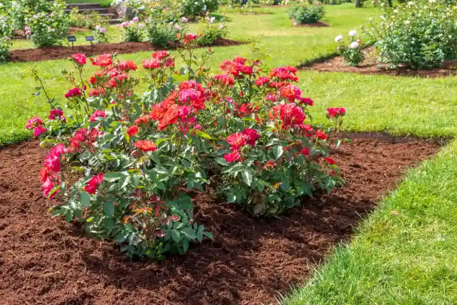 The Benefits Of Mulching For Slope And Erosion Control in Buford, GA