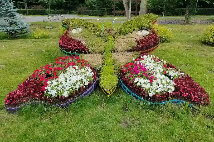 The Role Of Soil Quality In Landscape Installation Success in Buford, GA