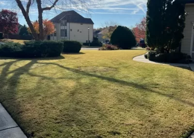 Landscaping Services